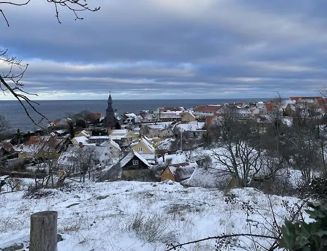 Koch X Koch